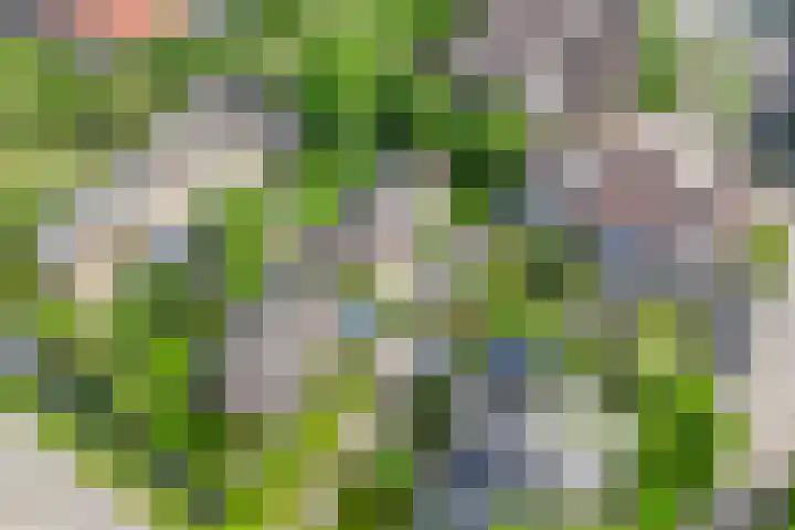 Achtersloot 76 IJsselstein thumbnail 46