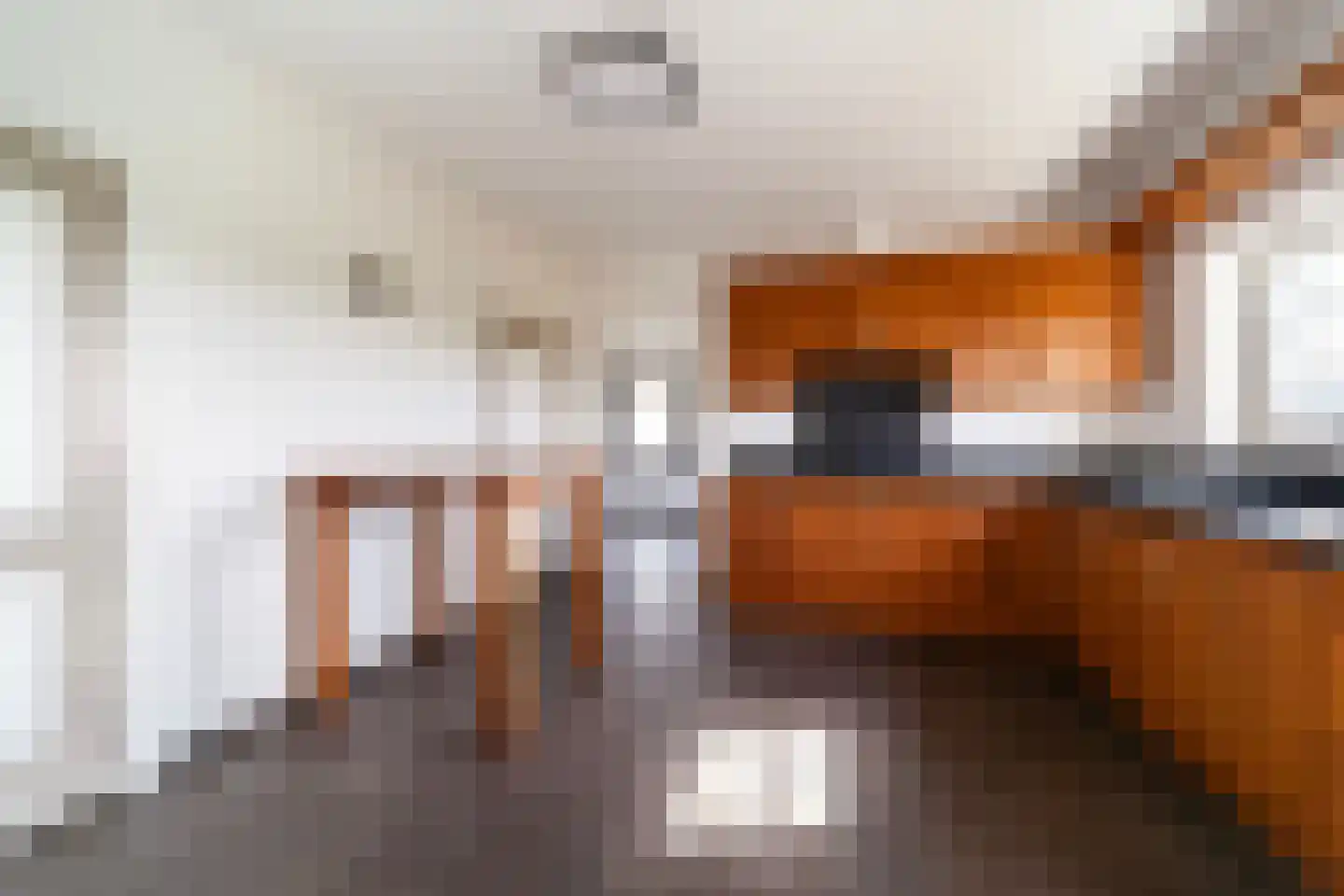 Achterst Ven 1 Veghel thumbnail 14