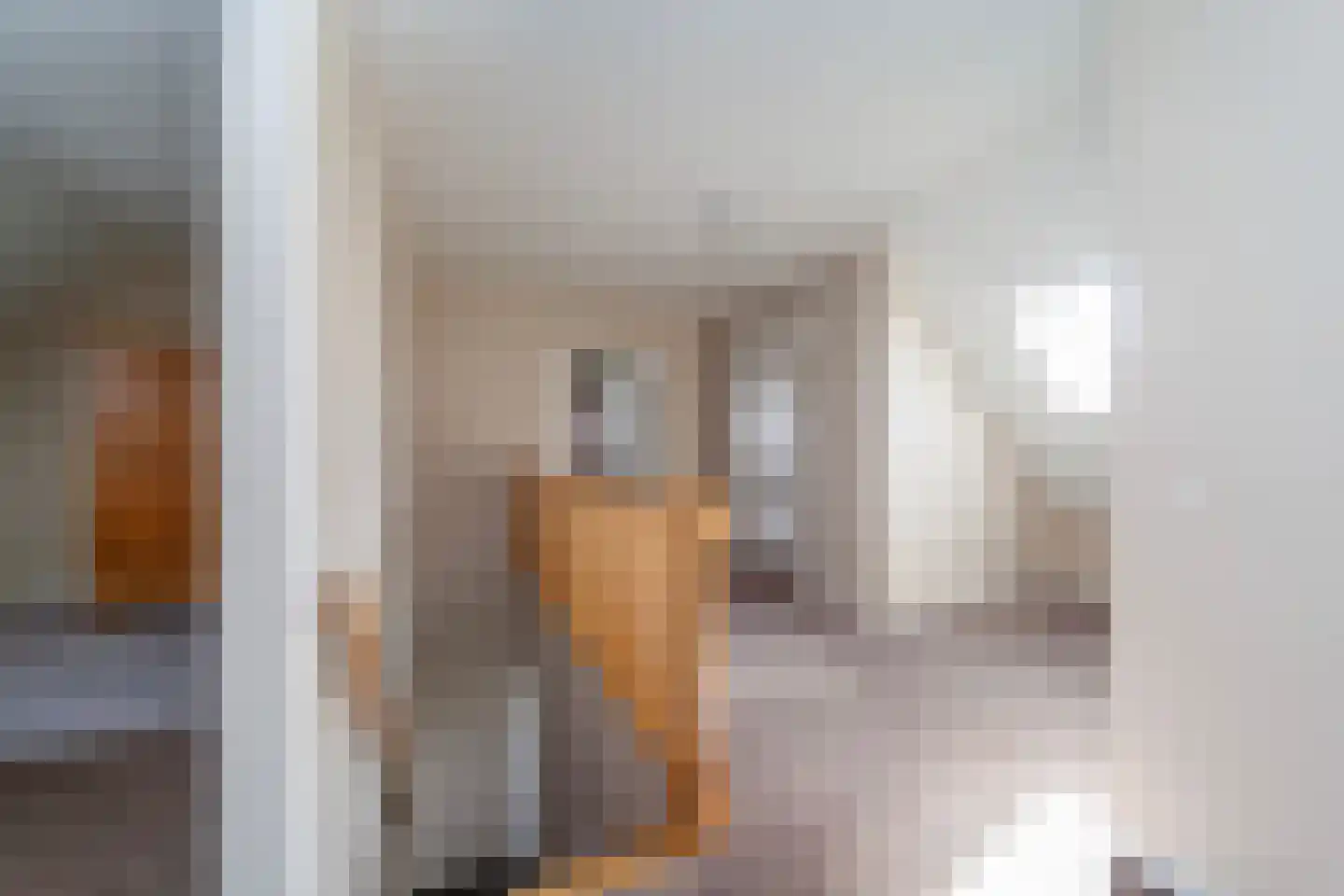 Achterst Ven 1 Veghel thumbnail 25