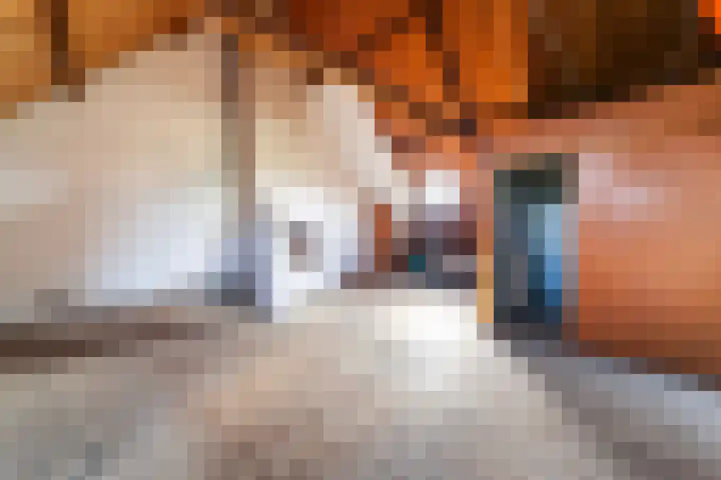 Achterst Ven 1 Veghel thumbnail 43