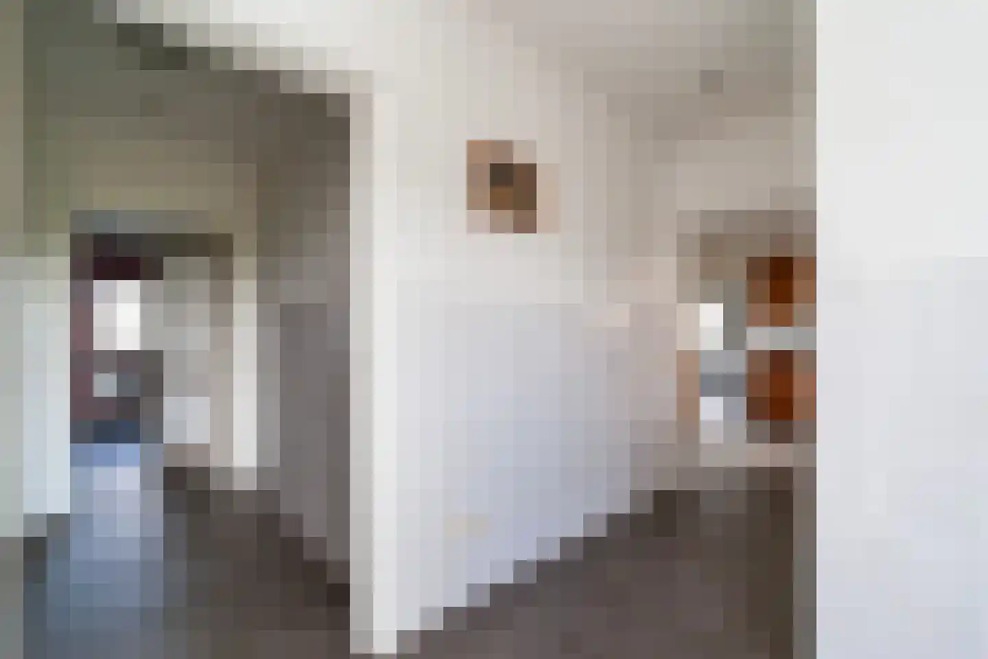 Achterst Ven 1 Veghel thumbnail 9