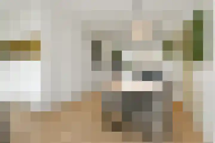 Achterste Akker 4 Nuenen thumbnail 10