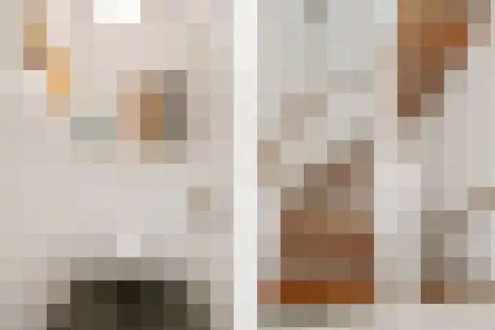 Achterste Akker 4 Nuenen thumbnail 26