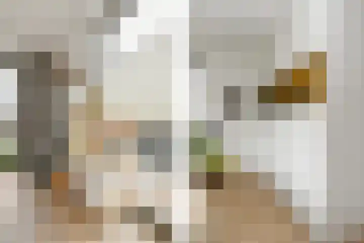 Achterste Akker 4 Nuenen thumbnail 9