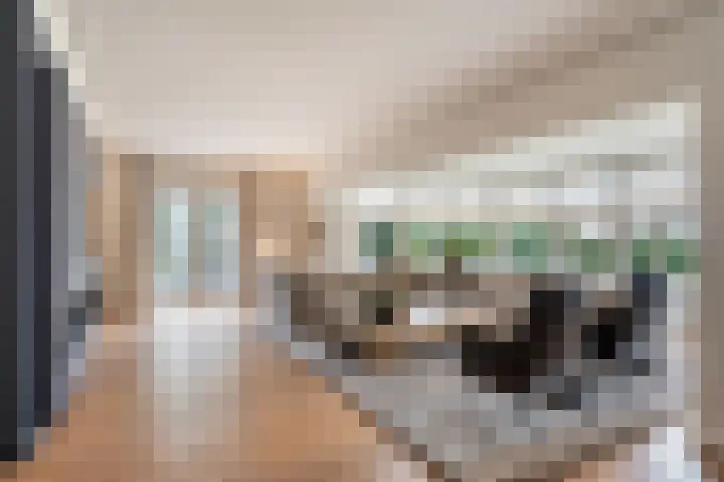 Achterste Brug 10 Valkenswaard thumbnail 7