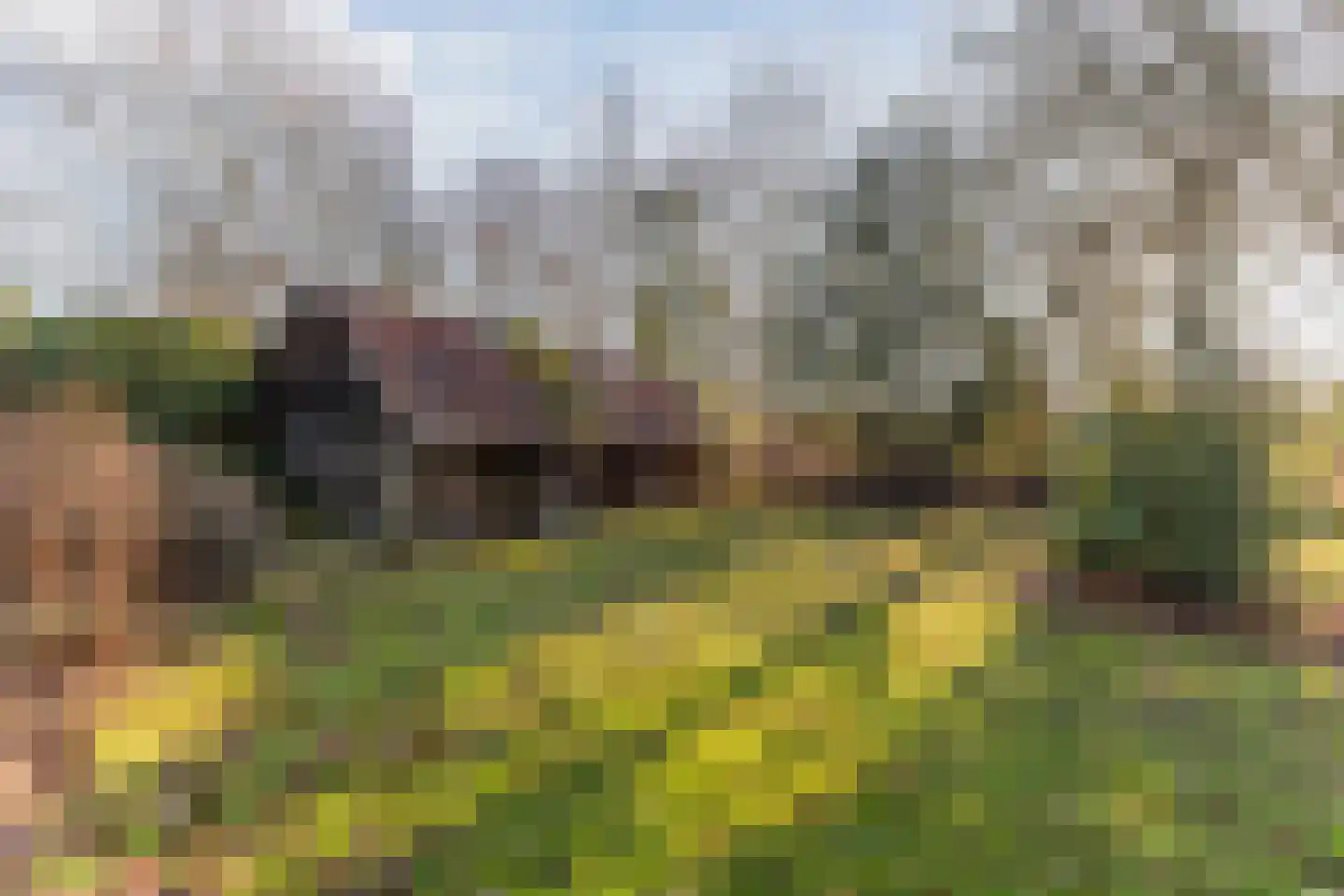 Achterste Brug 14 Valkenswaard thumbnail 69