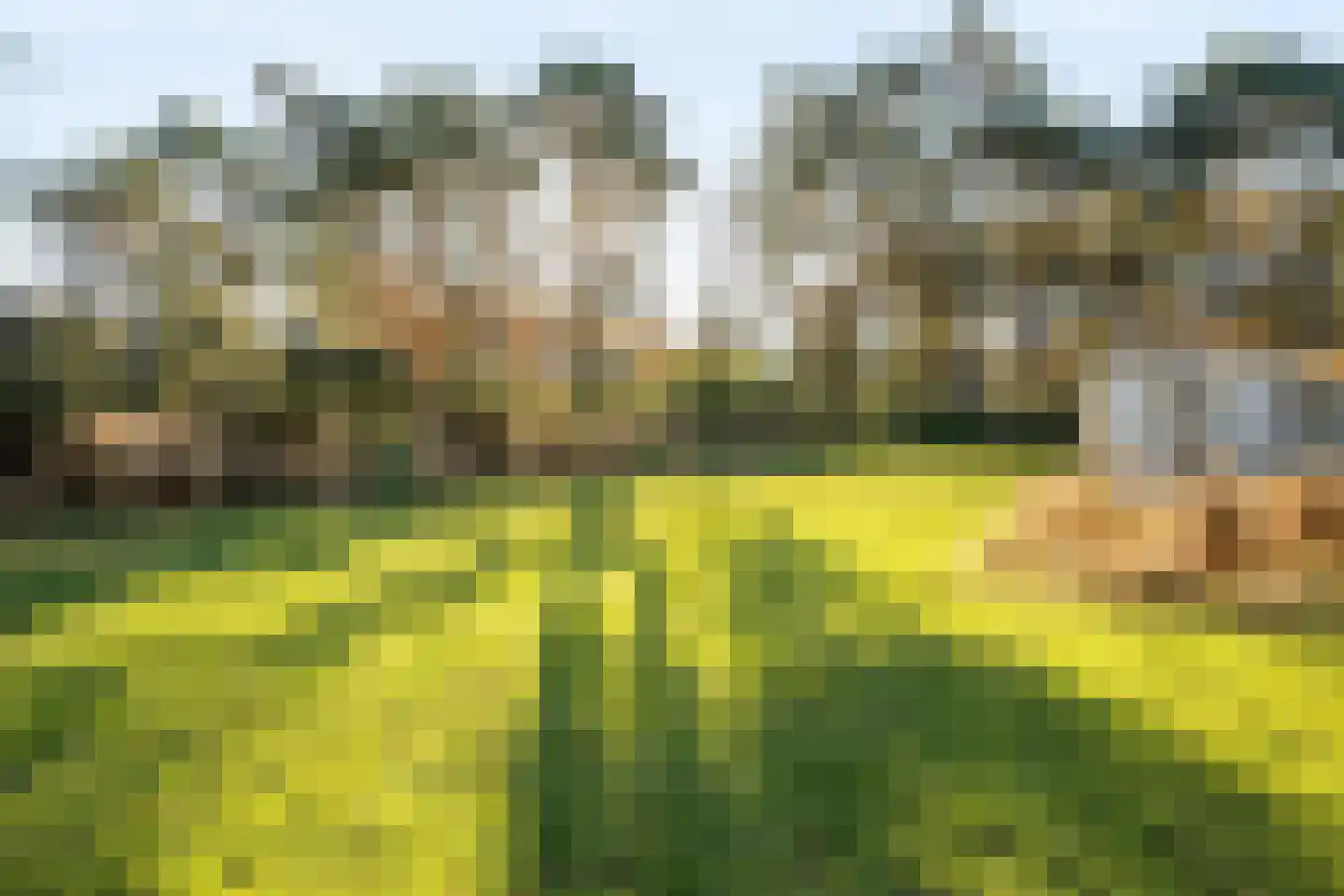 Achterste Brug 32 Valkenswaard thumbnail 4