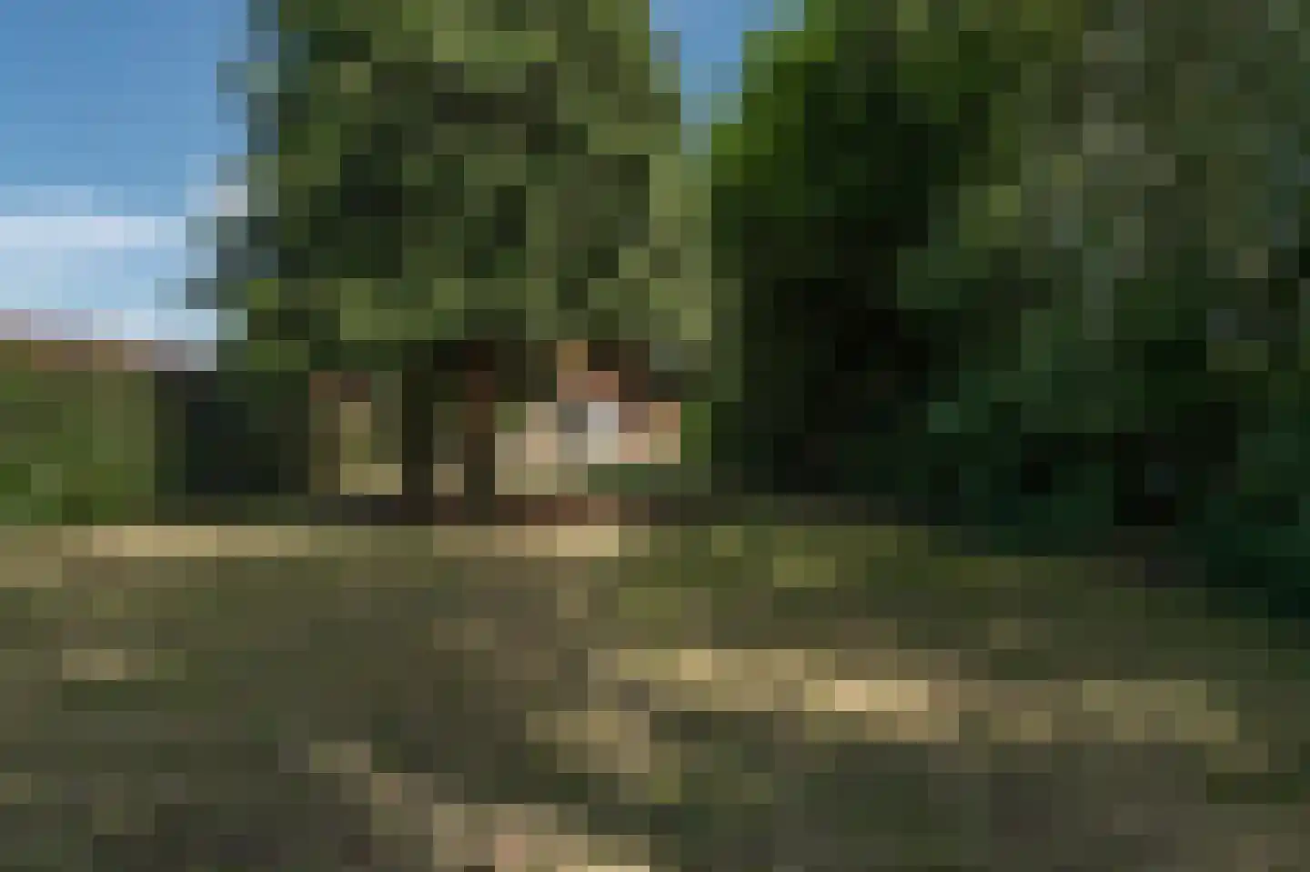 Achterste Brug 8 Valkenswaard thumbnail 51