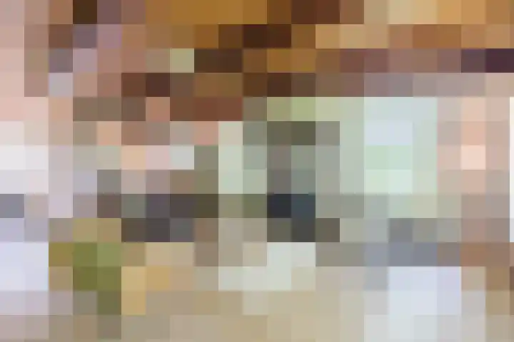 Achterste Erm 2 Erm thumbnail 10