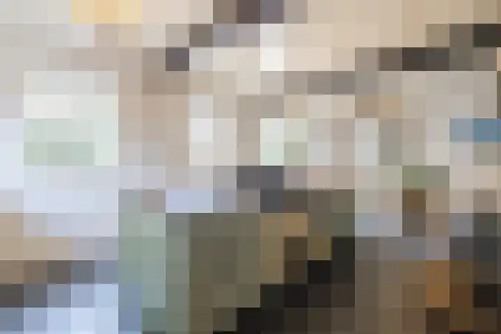 Achterste Erm 2 Erm thumbnail 19