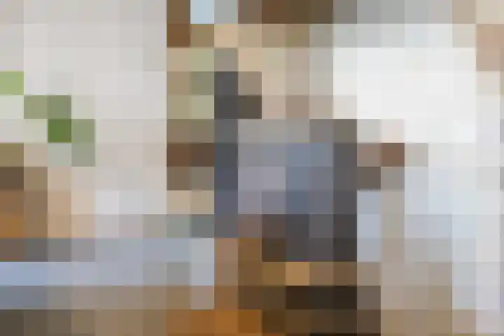Achterste Erm 2 Erm thumbnail 22