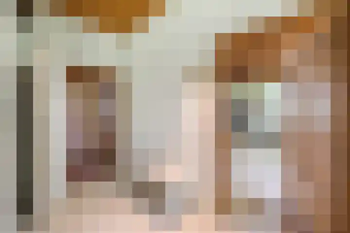 Achterste Erm 2 Erm thumbnail 24