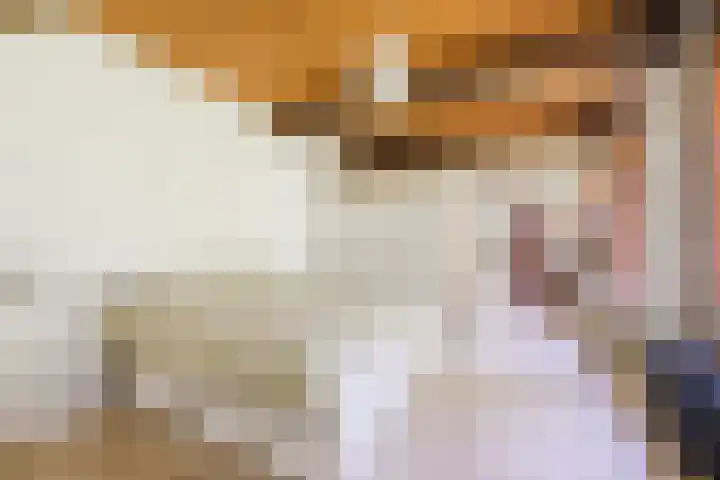 Achterste Erm 2 Erm thumbnail 28