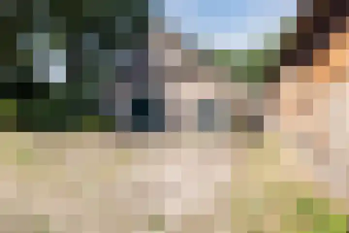 Achterste Erm 2 Erm foto 3