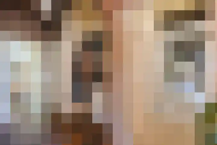 Achterste Erm 2 Erm thumbnail 32