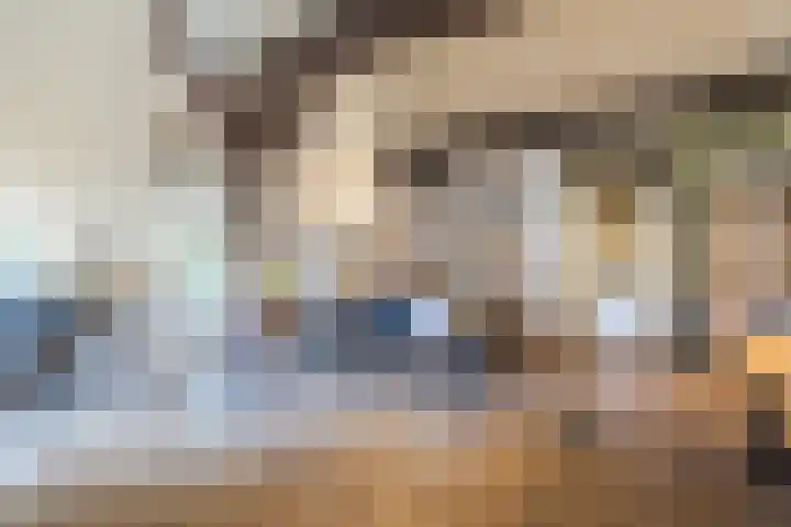 Achterste Erm 2 Erm thumbnail 36