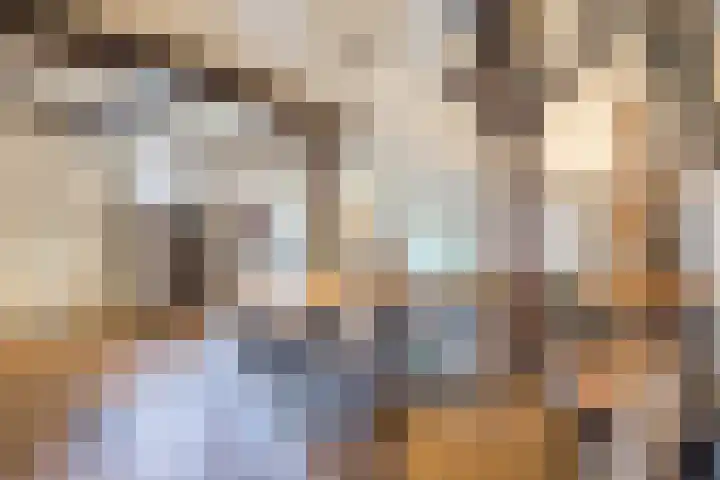 Achterste Erm 2 Erm thumbnail 38