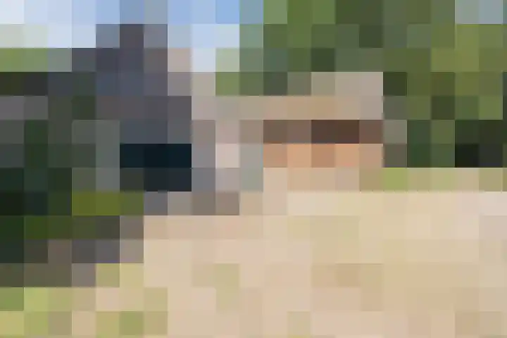 Achterste Erm 2 Erm thumbnail 4