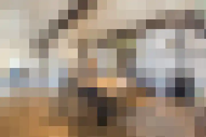 Achterste Erm 2 Erm thumbnail 41