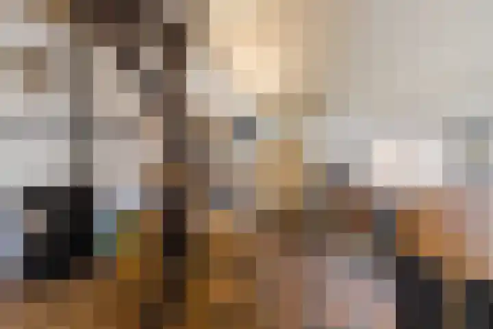 Achterste Erm 2 Erm thumbnail 42
