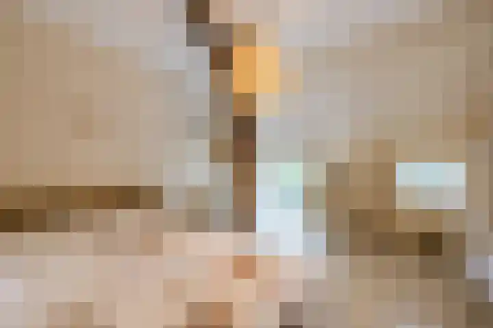 Achterste Erm 2 Erm thumbnail 45