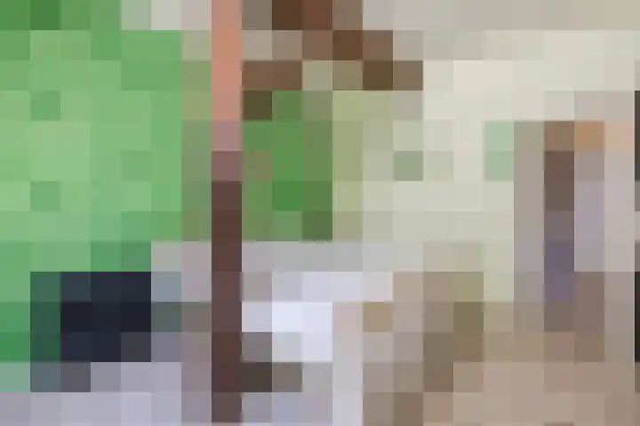 Achterste Erm 2 Erm thumbnail 48