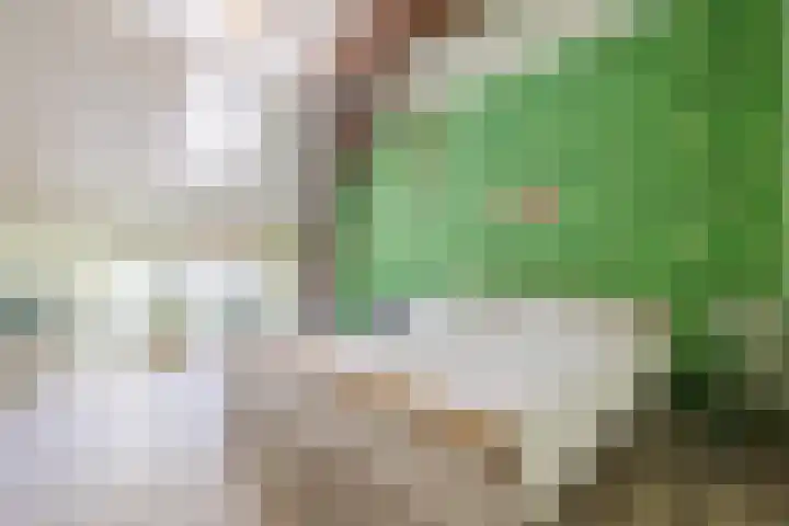 Achterste Erm 2 Erm thumbnail 49