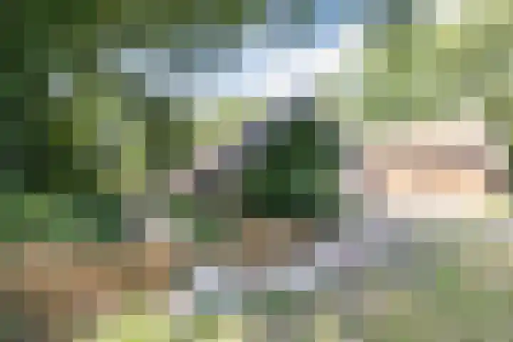 Achterste Erm 2 Erm thumbnail 5