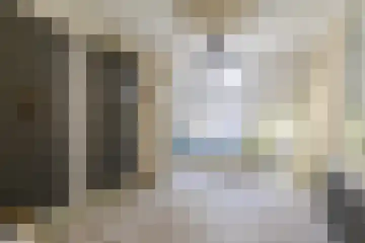 Achterste Erm 2 Erm thumbnail 52