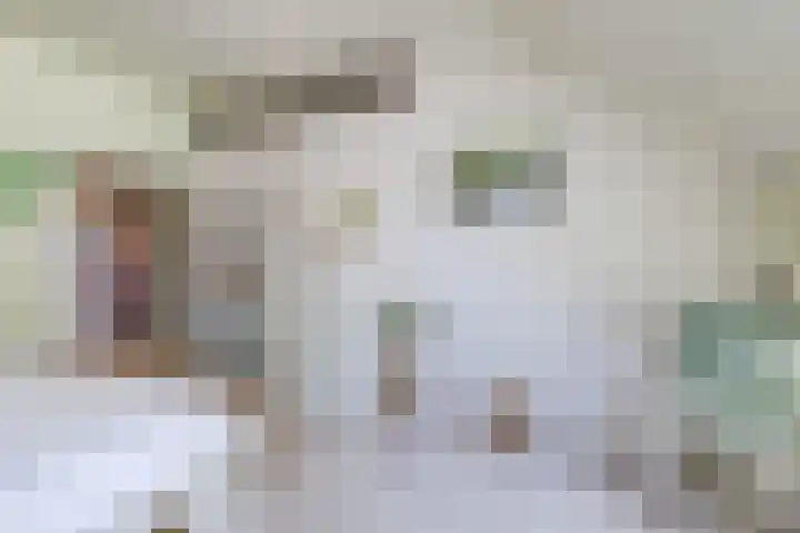 Achterste Erm 2 Erm thumbnail 54