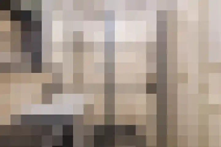 Achterste Erm 2 Erm thumbnail 56