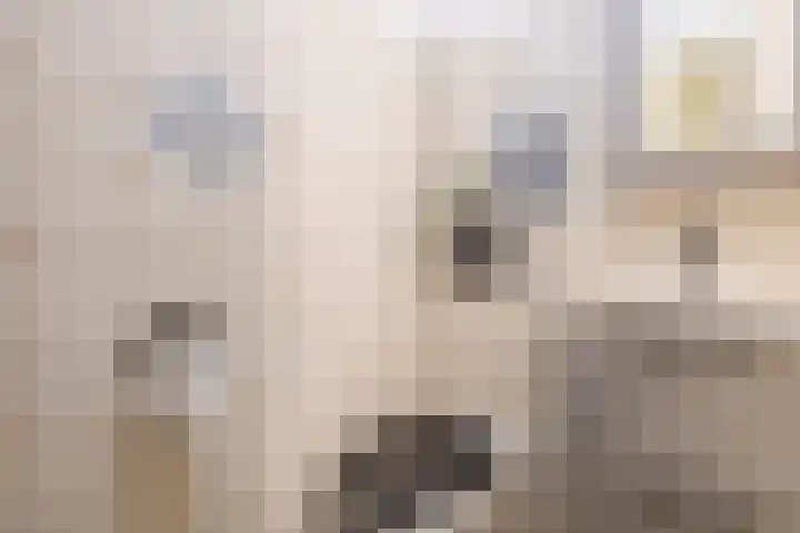 Achterste Erm 2 Erm thumbnail 57
