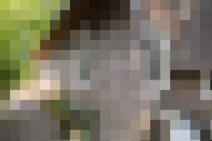 Achterste Erm 2 Erm thumbnail 6