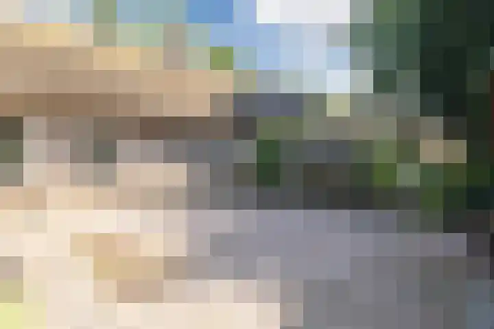 Achterste Erm 2 Erm thumbnail 60