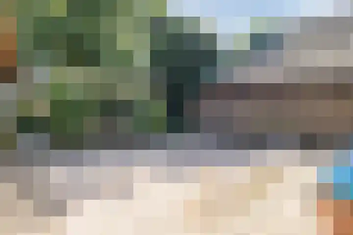 Achterste Erm 2 Erm thumbnail 61