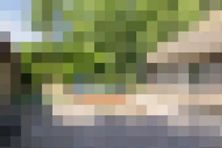 Achterste Erm 2 Erm thumbnail 62