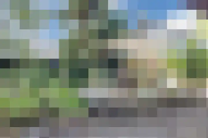 Achterste Erm 2 Erm thumbnail 63