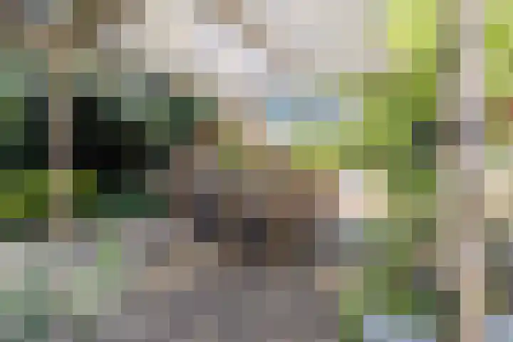 Achterste Erm 2 Erm thumbnail 64