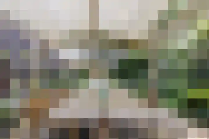 Achterste Erm 2 Erm thumbnail 65
