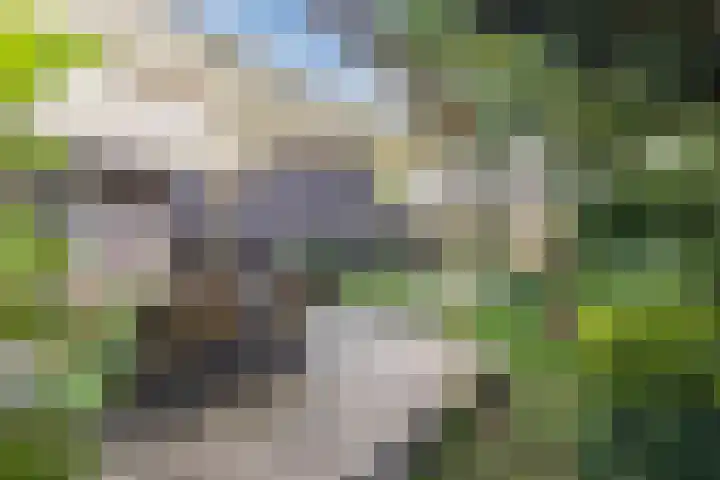 Achterste Erm 2 Erm thumbnail 66
