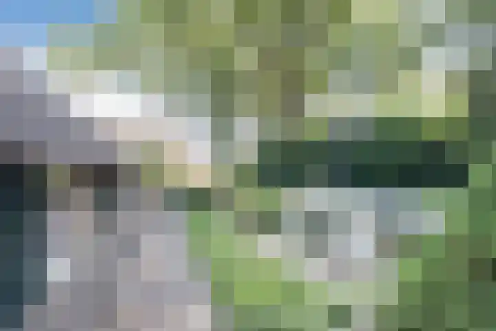 Achterste Erm 2 Erm thumbnail 67