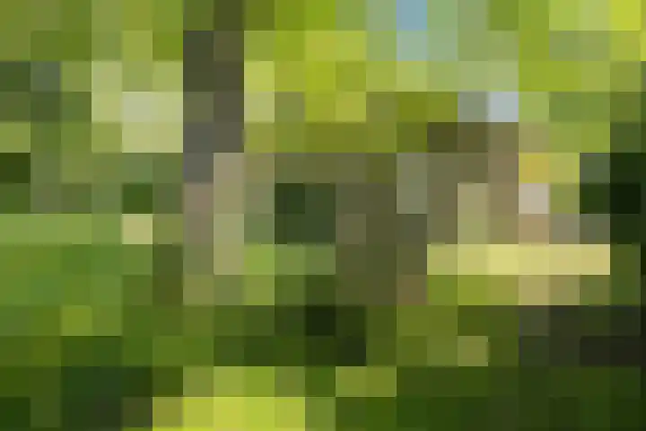 Achterste Erm 2 Erm thumbnail 68