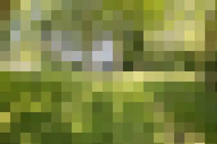 Achterste Erm 2 Erm thumbnail 69