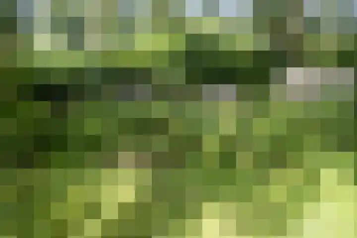 Achterste Erm 2 Erm thumbnail 70