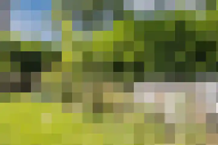 Achterste Erm 2 Erm thumbnail 71