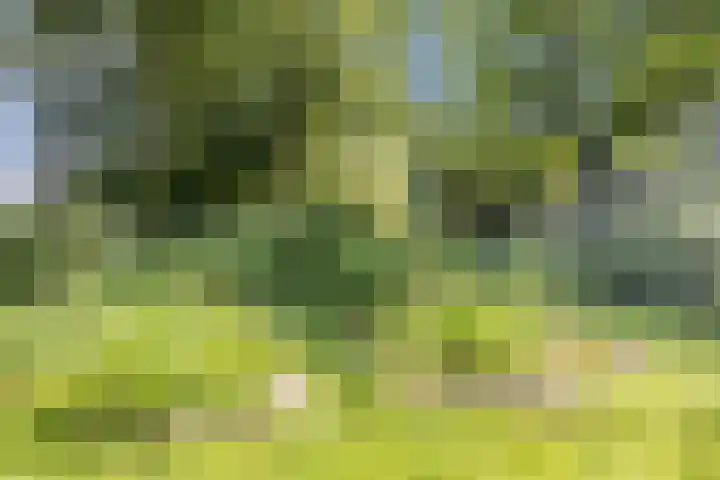 Achterste Erm 2 Erm thumbnail 72