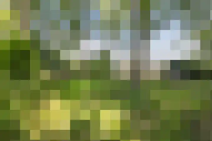 Achterste Erm 2 Erm thumbnail 75