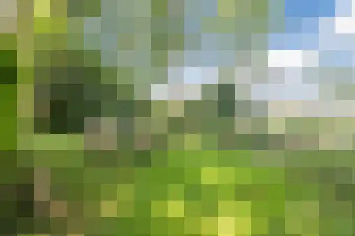 Achterste Erm 2 Erm thumbnail 76