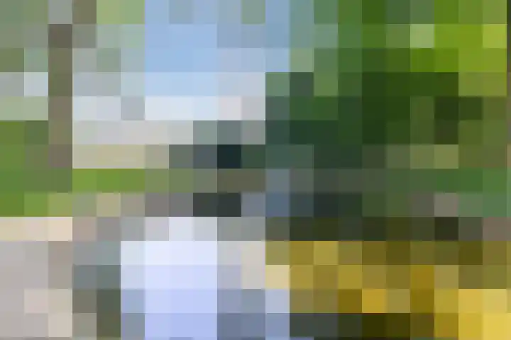 Achterste Erm 2 Erm thumbnail 77