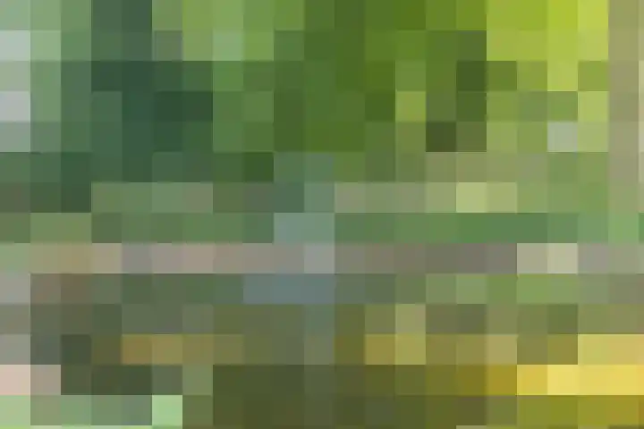 Achterste Erm 2 Erm thumbnail 78